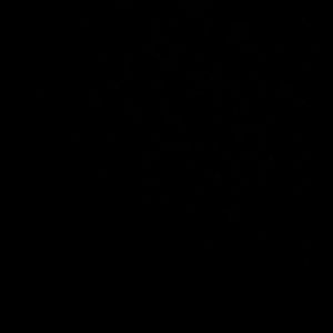 Meet your Posher, Maritza